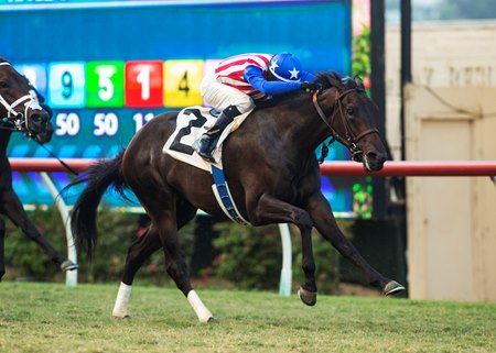 Madone wins the Del Mar Juvenile Fillies Turf Stakes at Del Mar