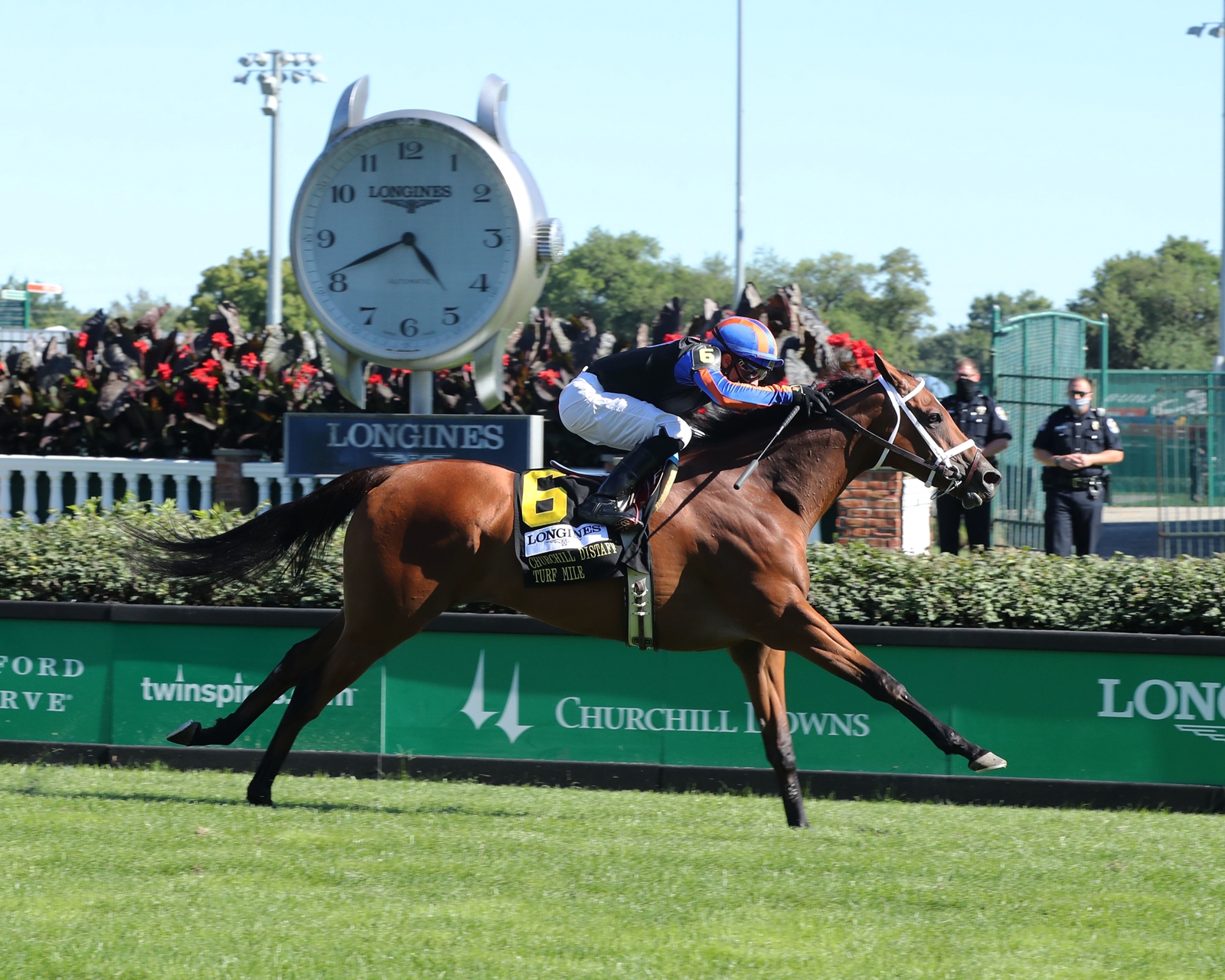 Beau Recall IRE Horse Profile BloodHorse