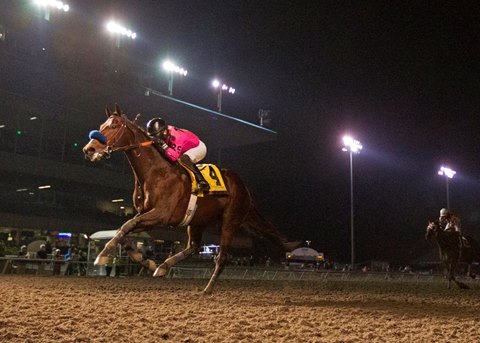 Longacres Mile Tops 15 Thoroughbred Stakes At Emerald Bloodhorse