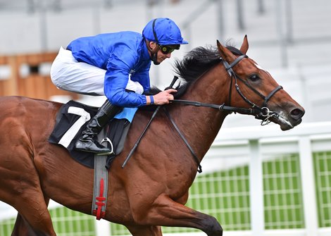 Godolphin Racing Godolphin Runners on Offer at Racing in Dubai Sale - BloodHorse