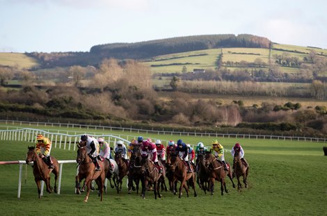 Plain Racing Flat Racing Returns to Punchestown After 18 Years - BloodHorse