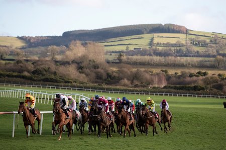 Horses race at Punchestown Racecourse