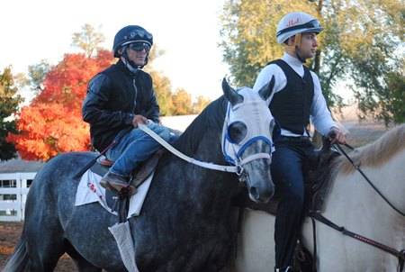 Airdrie Stud's homebred Biogenic while in training with Larry Jones