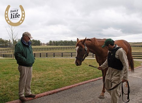 Photo Essay: Stallion Manager Billy Sellers - Features - BloodHorse.com