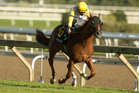 Lady Speightspeare wins the Natalma Stakes at Woodbine