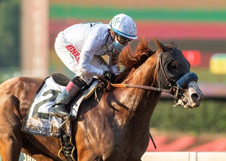 Improbable wins the Awesome Again Stakes at Santa Anita Park