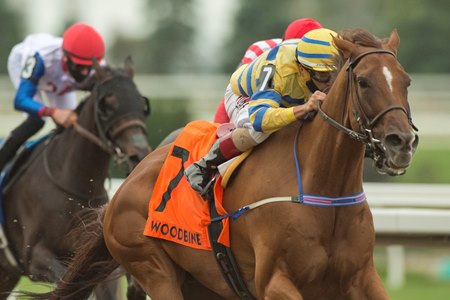 Pink Lloyd wins his fourth consecutive Vigil Stakes in the 2020 edition at Woodbine