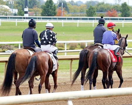 Indiana Grand Receives Approval For 2021 Race Dates Bloodhorse indiana grand racing calendar 2021