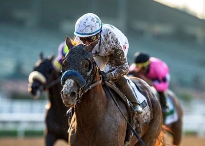 Improbable Horse Profile Bloodhorse