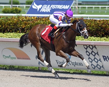 Raison d'Air - Horse Profile - BloodHorse