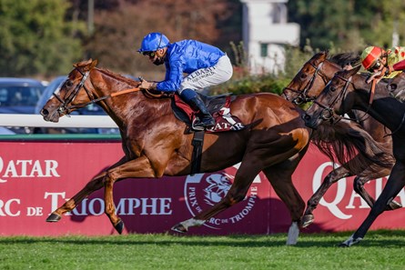 Earthlight (IRE) - Horse Profile - BloodHorse