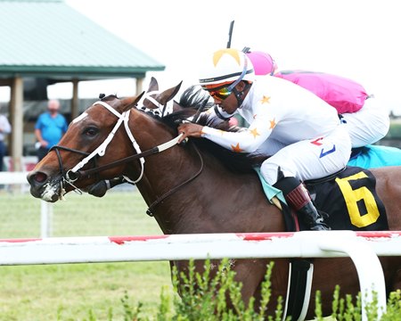 Kentucky Downs Nyra Fail To Reach Wagering Agreement Bloodhorse