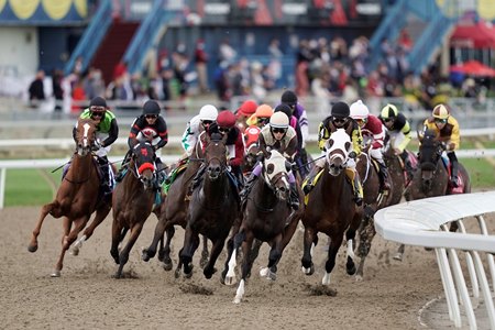 Mighty Heart leads the field on his way to victory in The Queen's Plate last year at Woodbine