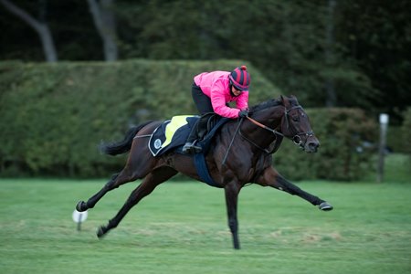 Hydros breezes in 2020 at Newmarket