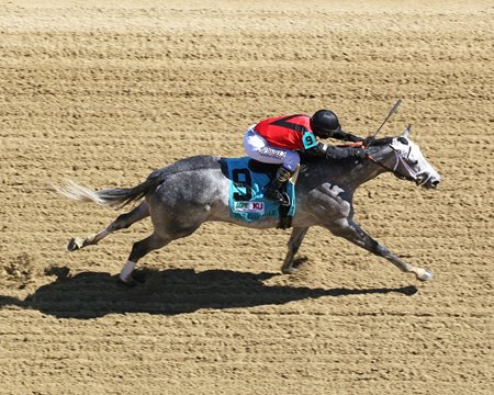 Rushie wins the 2020 Pat Day Mile Stakes at Churchill Downs