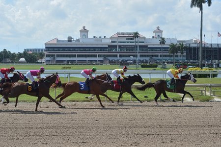 Gulfstream Park Championship Meet To Begin Dec 2 Bloodhorse