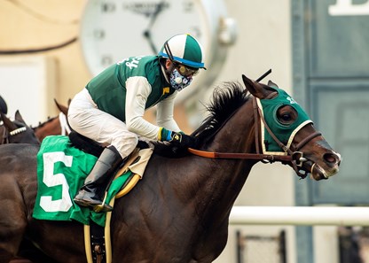 Big Fish - Horse Profile - BloodHorse