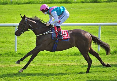 Talacre wins the Irish Stallion Farms EBF Fillies Maiden at Gowran
