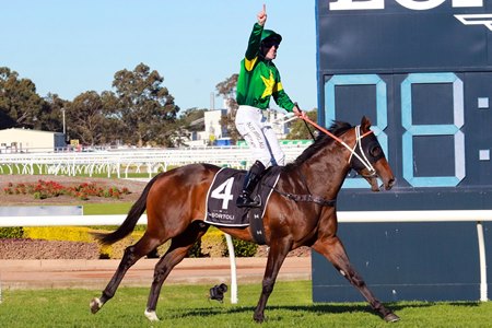 Ole Kirk, shown winning the 2020 Golden Rose Stakes at Rosehill Racecourse, is in the running for a first-season sire title