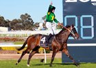 Ole Kirk wins the 2020 Golden Rose at Rosehill Racecourse
Ridden by Tommy Berry and trained by John, Michael, and Wayne Hawkes