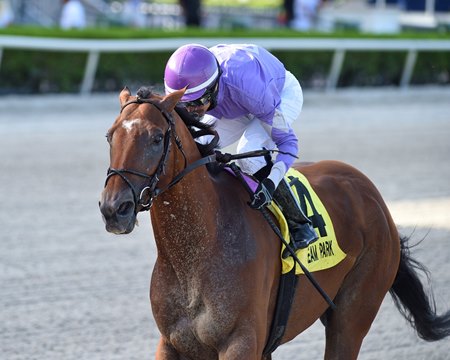 Cool Arrow wins the Smile Sprint Stakes at Gulfstream Park
