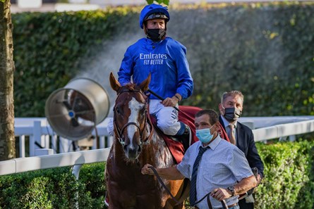 Earthlight (IRE) Horse Profile BloodHorse