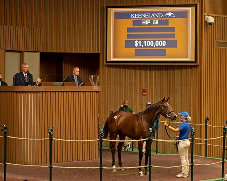 The Medaglia d'Oro filly consigned as Hip 58 in the ring at the Keeneland September Sale