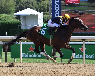 Olympiad - Horse Profile - BloodHorse