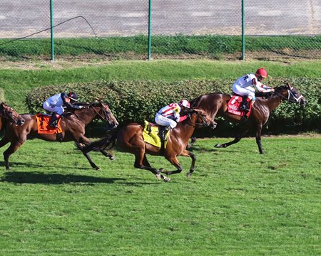 Turf racing at Churchill Downs