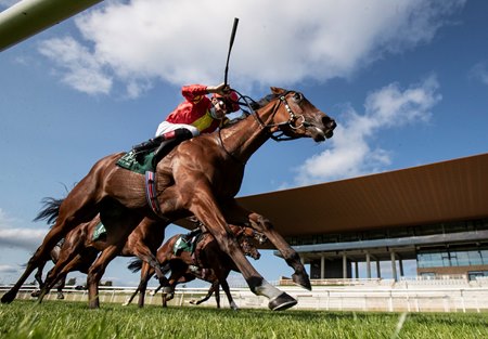 Horses race past the stands of the redeveloped Curragh Racecourse