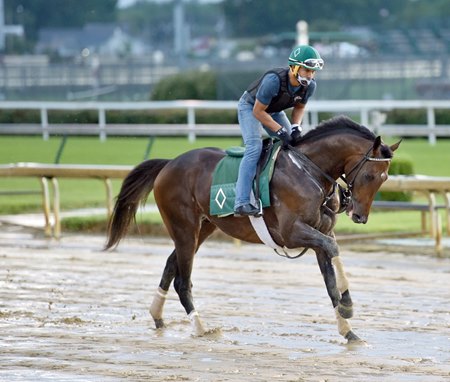 South Bend trains at Churchill Downs last year prior to his 15th-place finish in the Kentucky Derby