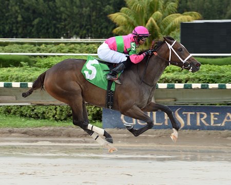 Gladys breaks her maiden at Gulfstream Park West