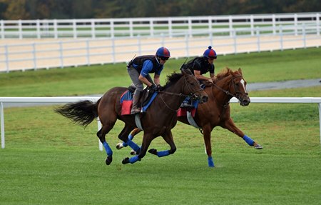 Mean Mary (outside) works in company with Sharing Oct. 24 at Fair Hill Training Center