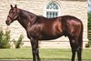 Ghostzapper at Adena Springs