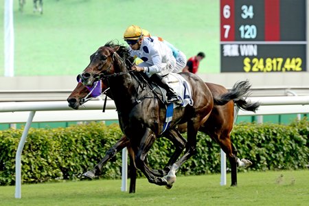 Golden Sixty overtakes Ka Ying Star late to capture the Sha Tin Trophy at Sha Tin Racecourse