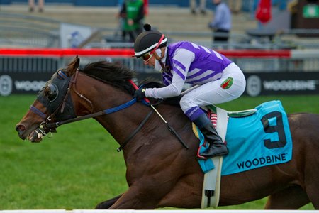 Belichick wins the Breeders' Stakes at Woodbine