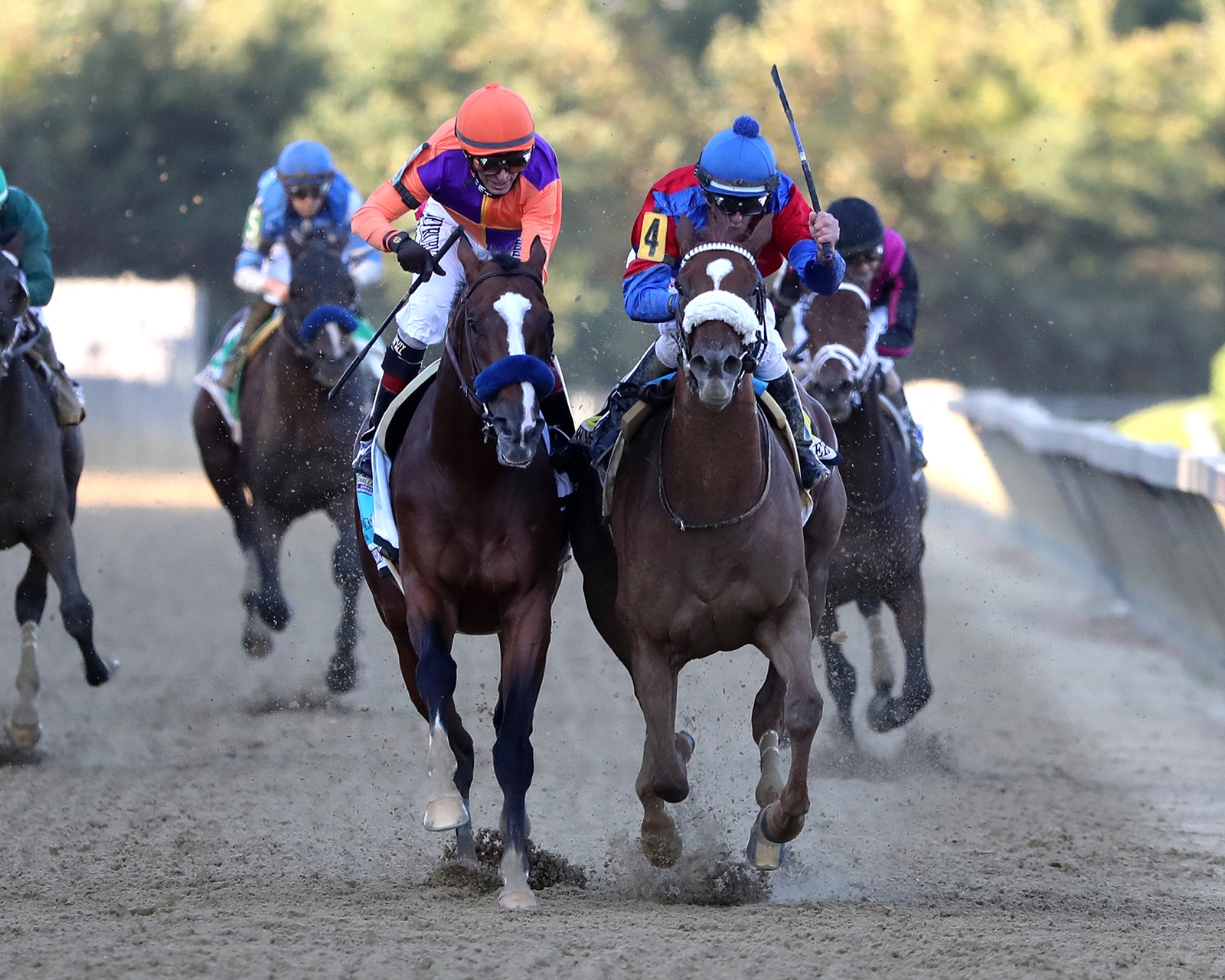 ビジネス・経済 HIT WIN VICTORY II OF HORSE RACE ビジネス・経済 HIT WIN VICTORY II OF HORSE RACE horse3-1229