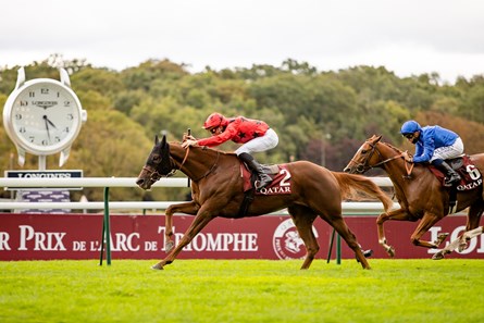 The Revenant (GB) - Horse Profile - BloodHorse