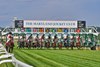 Turf Racing at Turf Racing at Laurel Park