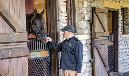 Midnight Lute settles in with stallion manager Larry Walton after arriving at Hill 'n' Dale at Xalapa Farm