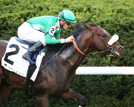 Bodenheimer wins the 2020 Indian Summer Stakes at Keeneland