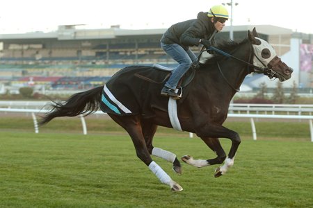Mighty Heart trains Oct. 21 at Woodbine