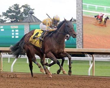 Diamond Oops - Horse Profile - BloodHorse