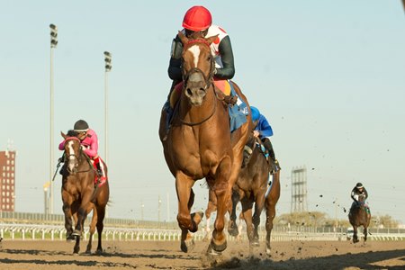 Souper Sensational wins the Glorious Song Stakes at Woodbine