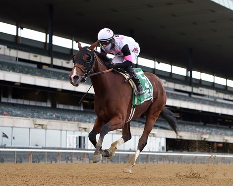 Horologist Named New Jersey-Bred Horse of the Year - BloodHorse