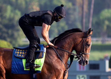 Authentic gallops Oct. 11 at Santa Anita Park