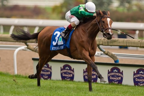 Etoile Returns To Woodbine For Dance Smartly Stakes Bloodhorse