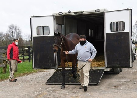 Milwaukee Brew arrives at Old Friends Thoroughbred Retirement Farm