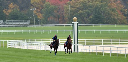 Training on the turf at Fair Hill