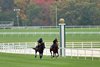 Mean Mary (left) and Sharing (right) head down the stretch on the new Fair Hill turf course 10 24 20